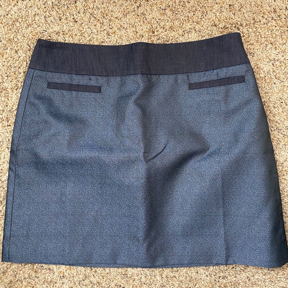 Ann Taylor LOFT petite Skirt NWT